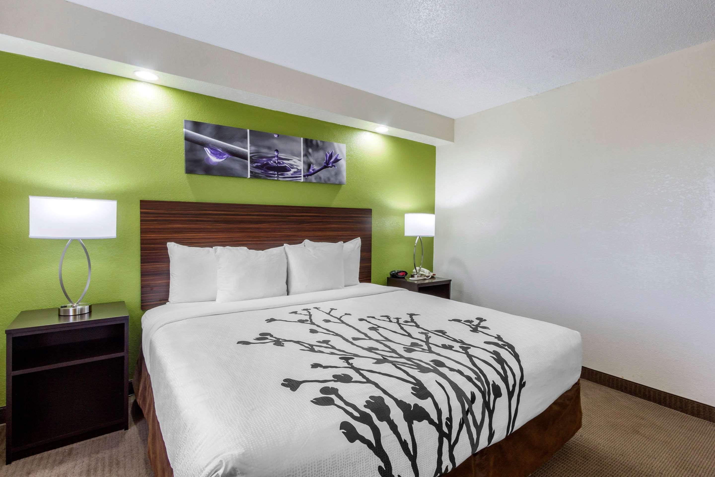 Sleep Inn Near Busch Gardens - Usf Temple Terrace Exterior photo